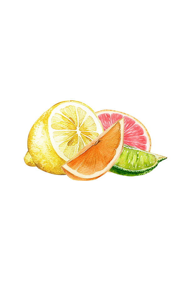 Citrus essential oils — lemon sweet orange grapefruit and lime — used in Rustic Strength Lots of Purpose Spray Cleaner