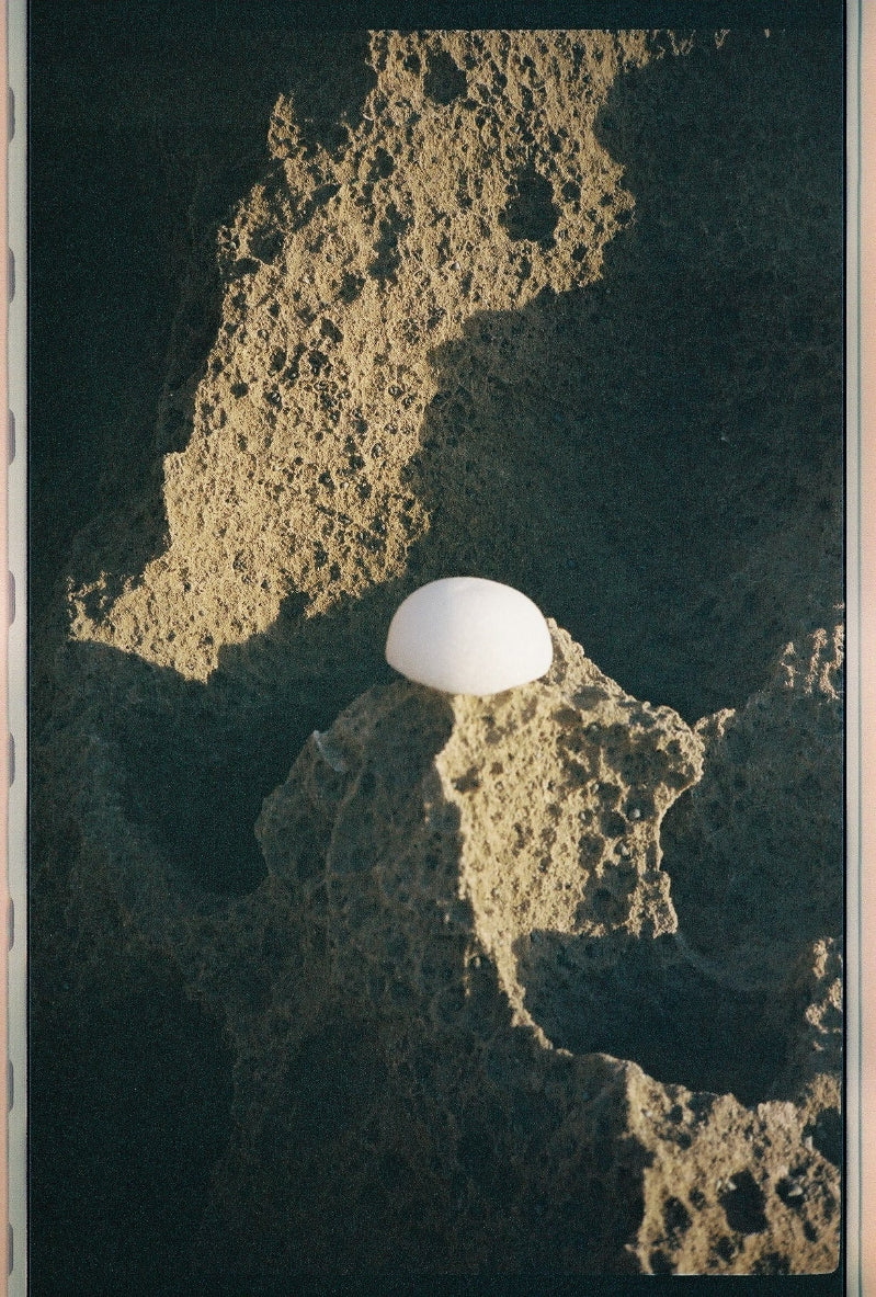 FORAH Clear Konjac Sponge shown wet and softened, ready for use on face and neck