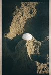 FORAH Clear Konjac Sponge shown wet and softened, ready for use on face and neck