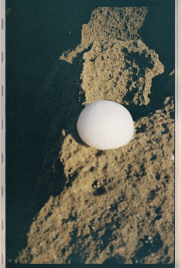 FORAH Clear Konjac Sponge – eco-friendly, biodegradable facial exfoliating sponge suitable for sensitive skin