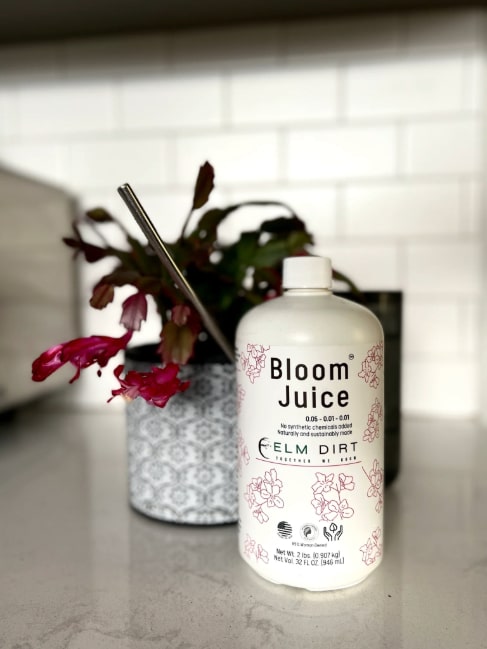 Bloom Juice - Our Award-Winning Formula for Spectacular Flowers