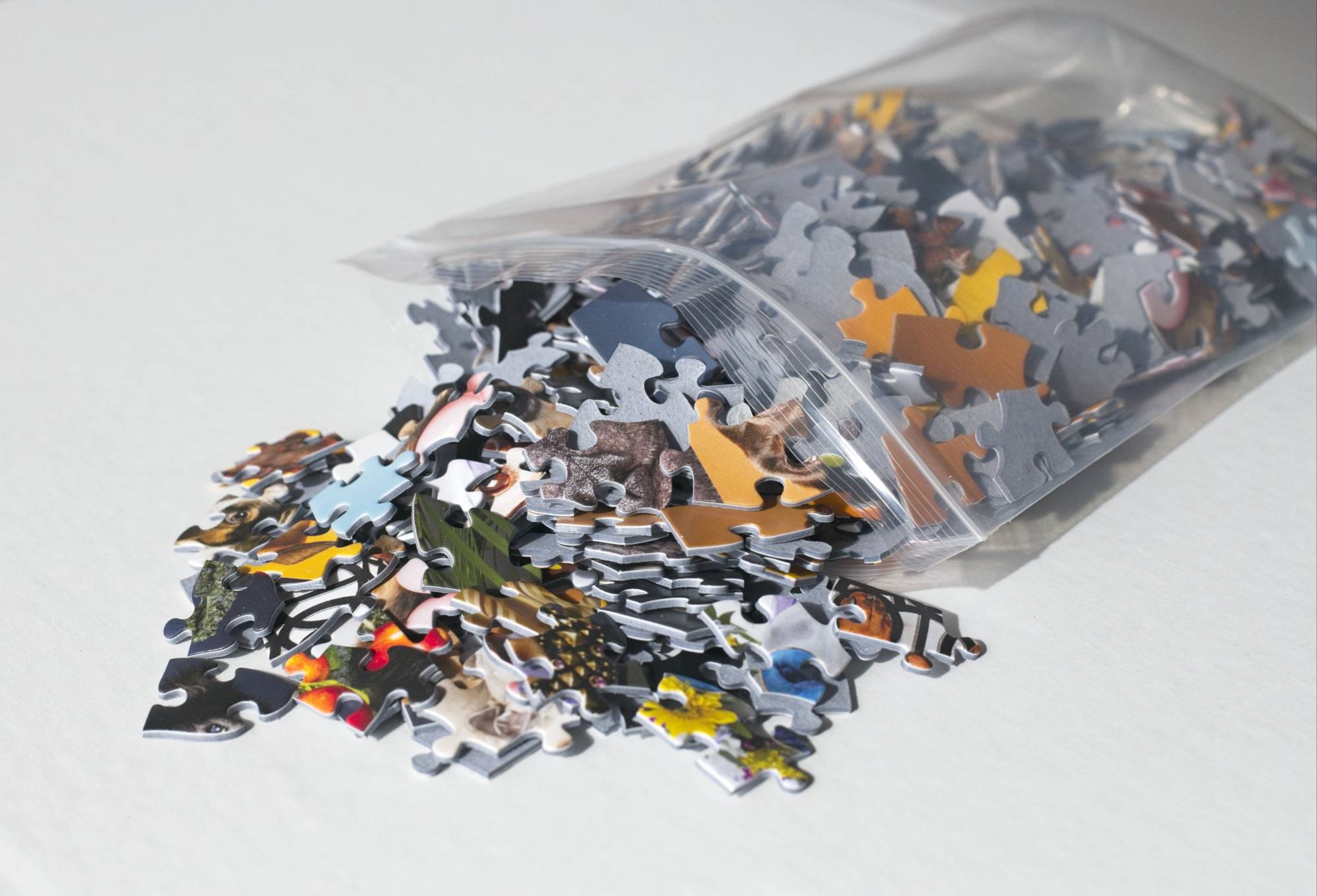 Dogs Portraits 500-Piece Jigsaw Puzzle by Ellen Shershow