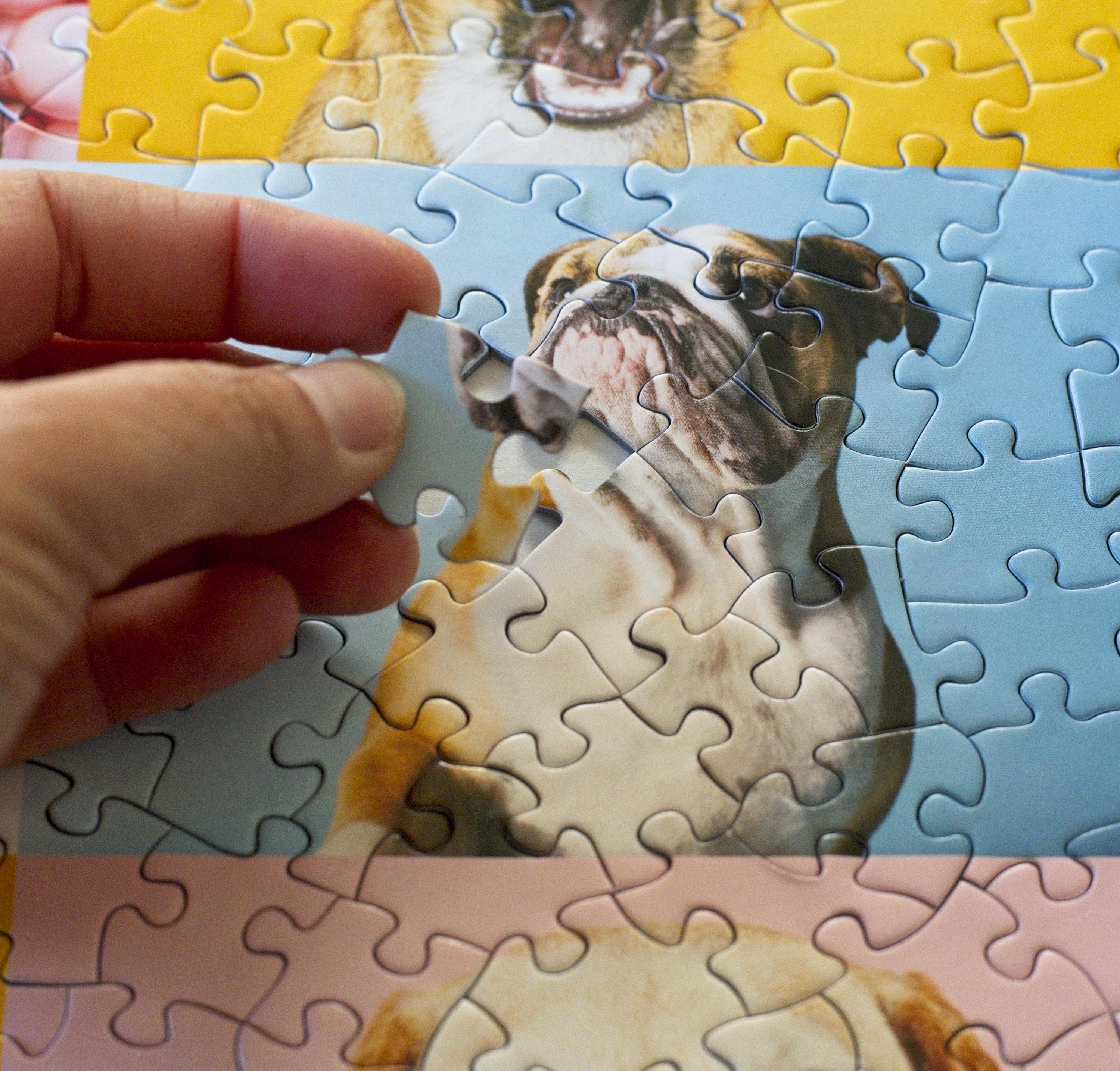 Single piece from the Dogs Portraits 500-piece jigsaw puzzle