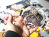 Close-up of Dogs Portraits jigsaw puzzle pieces
