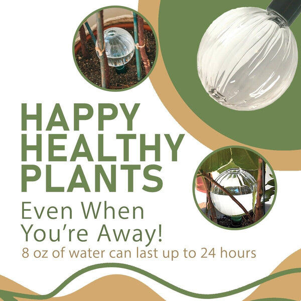 Advertisement for a self-watering plant system with text and images of the product in use.