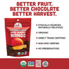 Chocolate Dipped Dried Organic Mango