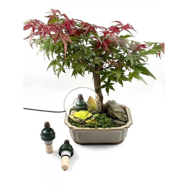 Blumat Bonsai watering kit with tubing connected to a water reservoir