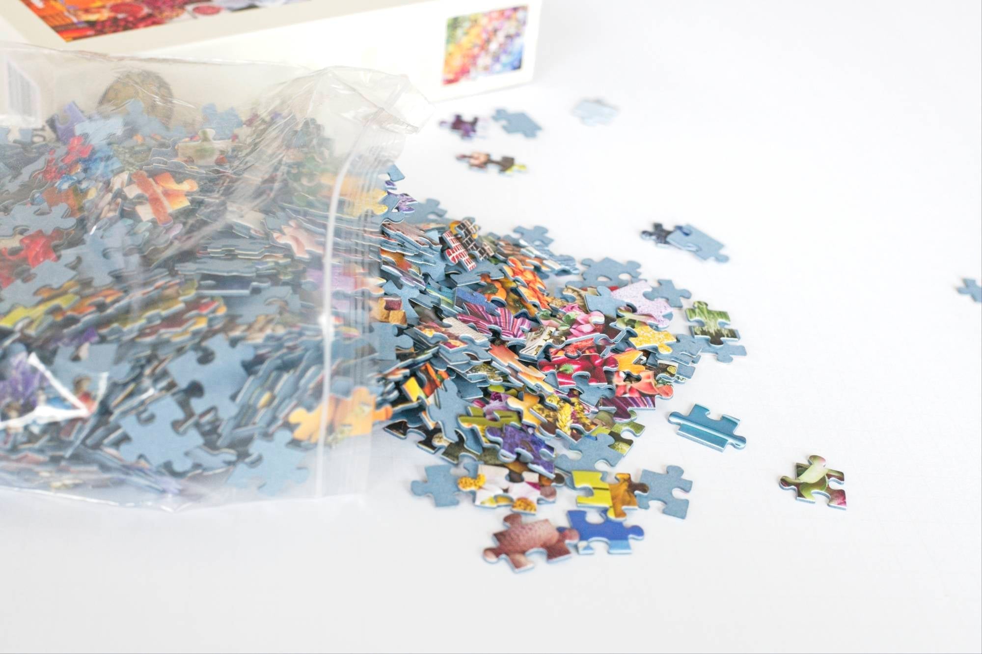 Reusable resealable bag that holds the pieces of the 50 Years of Rainbow jigsaw puzzle