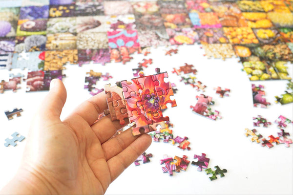 50 Years of Rainbow 1000-Piece Jigsaw Puzzle | Rainbow Grocery Co-op