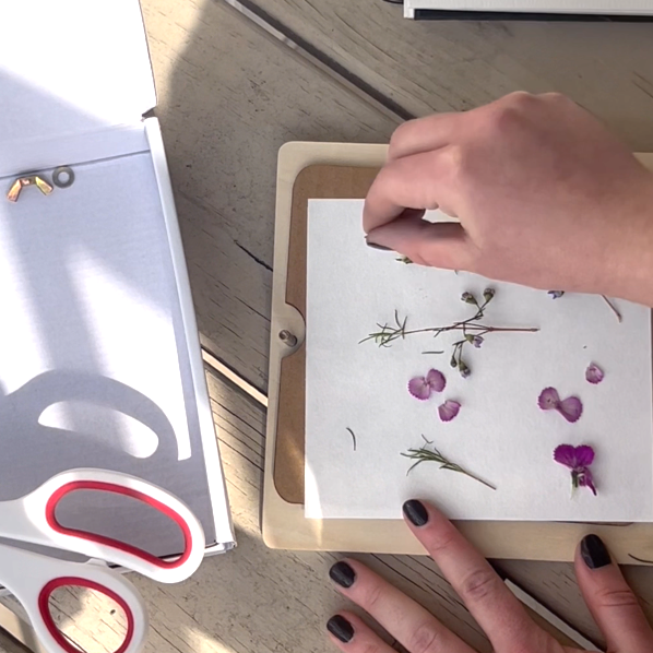 Flower Press Kit for Kids – DIY Nature Craft, All Parts Included