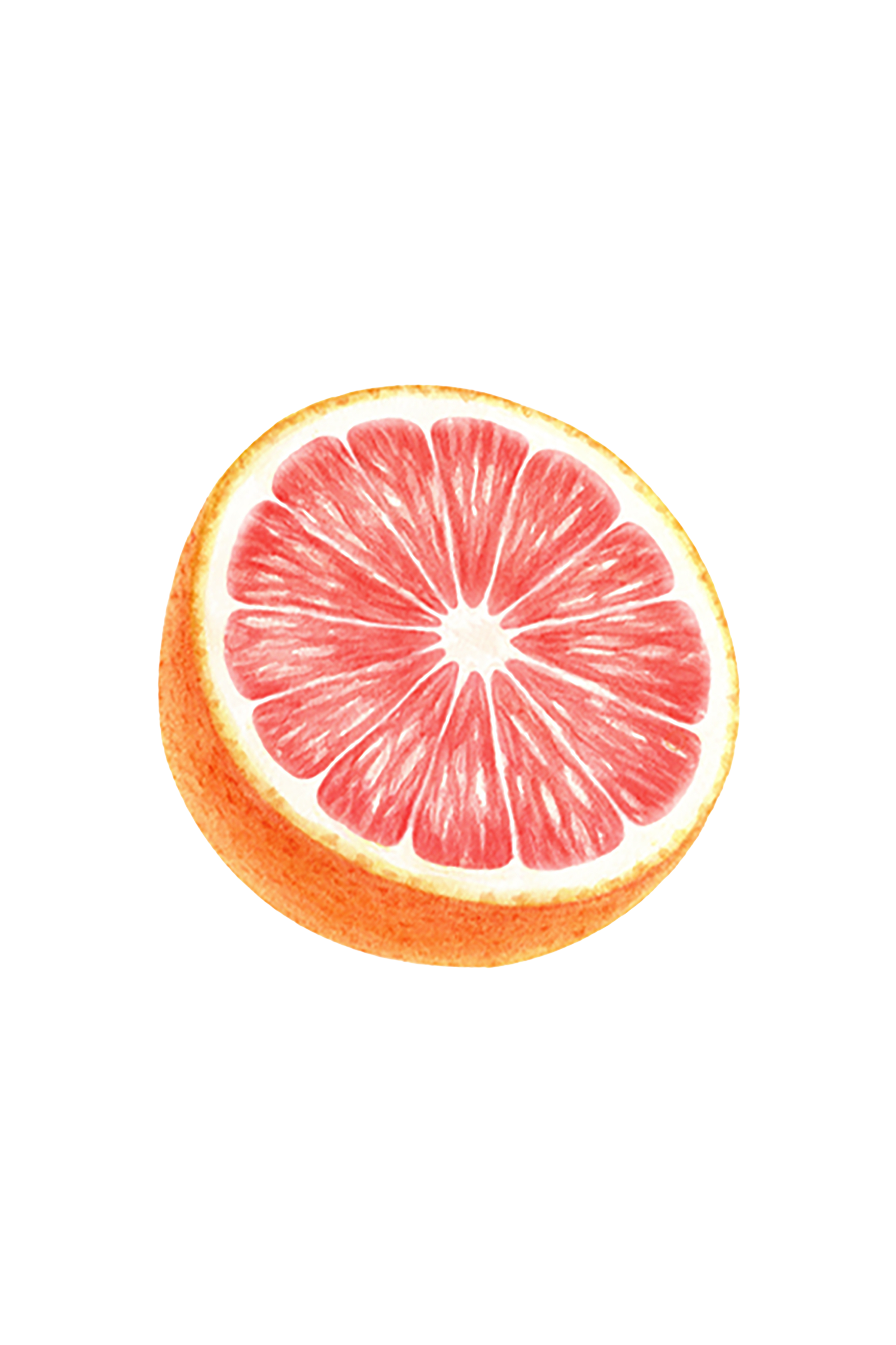 Sliced grapefruit on a white background