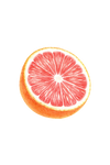 Sliced grapefruit on a white background
