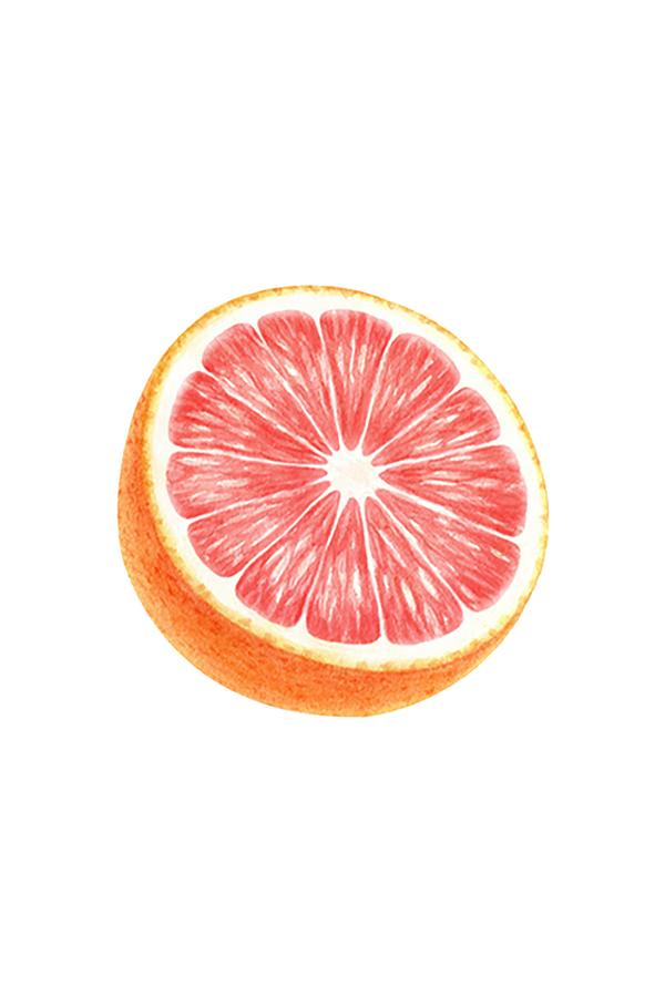 Sliced grapefruit on a white background