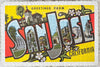 Completed Greetings from San Jose 500-piece jigsaw puzzle showing the vintage postcard artwork