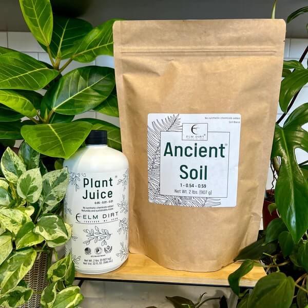 Bag of 'Ancient Soil' and bottle of 'Plant Juice' with plants in the background. Grow Power Bundle — 250+ microbe Plant Juice & bio-active Ancient Soil with worm castings & biochar. Build stronger roots & explosive green growth. Shop now.