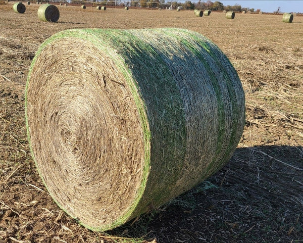 Hemp Chicken Horse Animal Bedding Litter  - Organic USA Grown