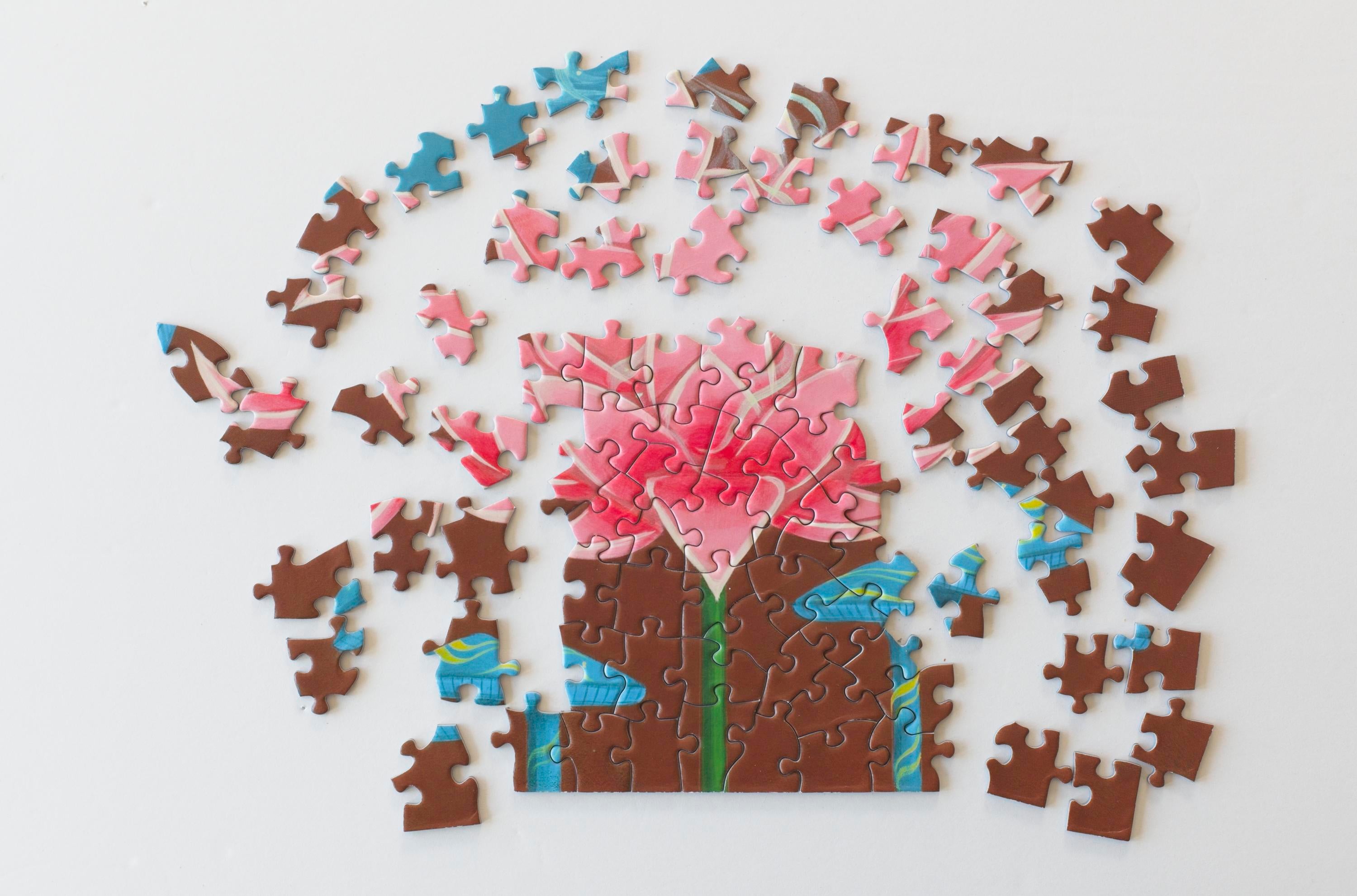 Hummingbird Spirit jigsaw puzzle partially assembled on a table