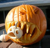 Carved Jack O' Lantern Halloween pumpkin with glowing face, grown from Seattle Seed Company Jack O' Lantern seeds