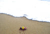 Three small colorful objects on a sandy beach with waves in the background