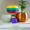 Smiley face planter with small succulent, shown on a desk as cute cubicle decor