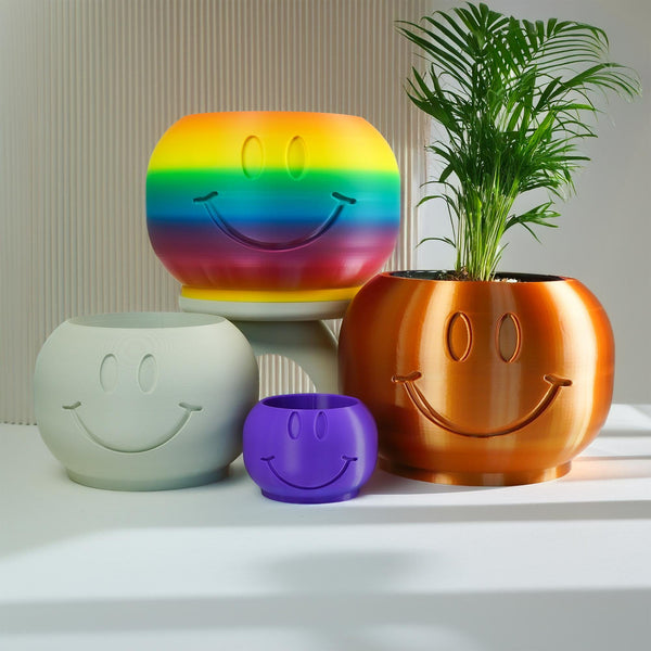 Smiley face planter with small succulent, shown on a desk as cute cubicle decor