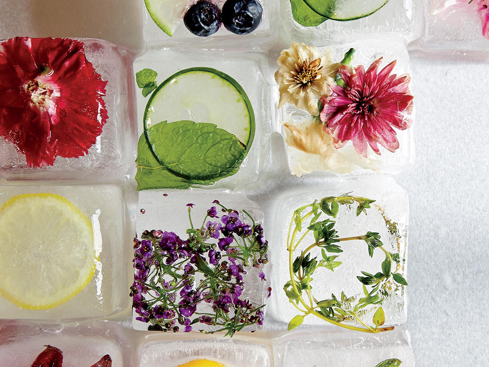 Ice cubes with various plants and flowers inside, on a white background