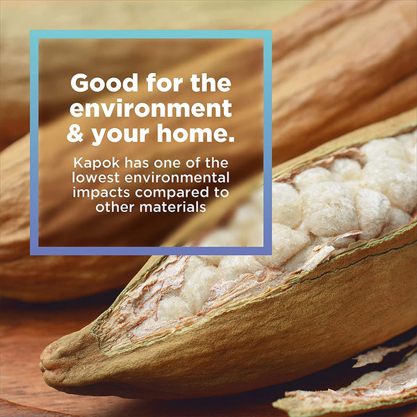 Kapok fibers in a pod with text about its environmental benefits.