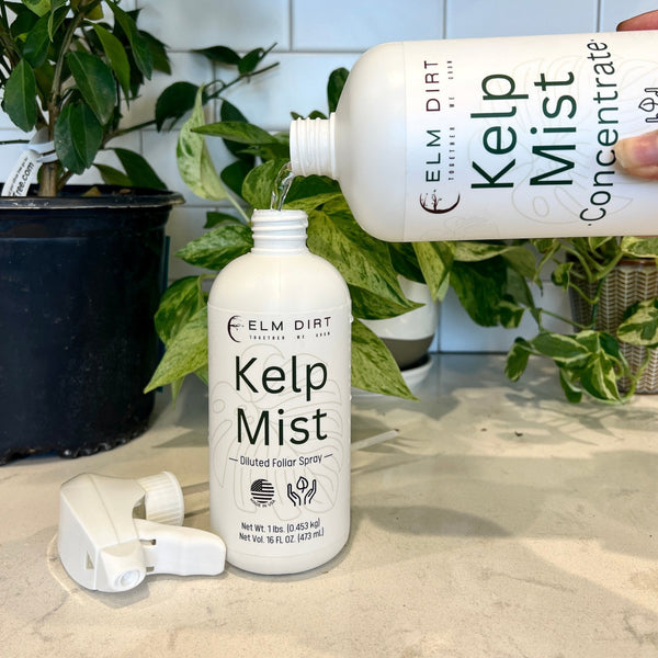 🌿 Kelp Mist – Organic Plant Strengthener for Resilient Growth & Soil Health