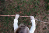 Children's alpaca mittens in natural earth tones from Purely Alpaca