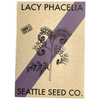Lacy Phacelia wildflower in full bloom with delicate purple flowers, grown from Seattle Seed Company seeds