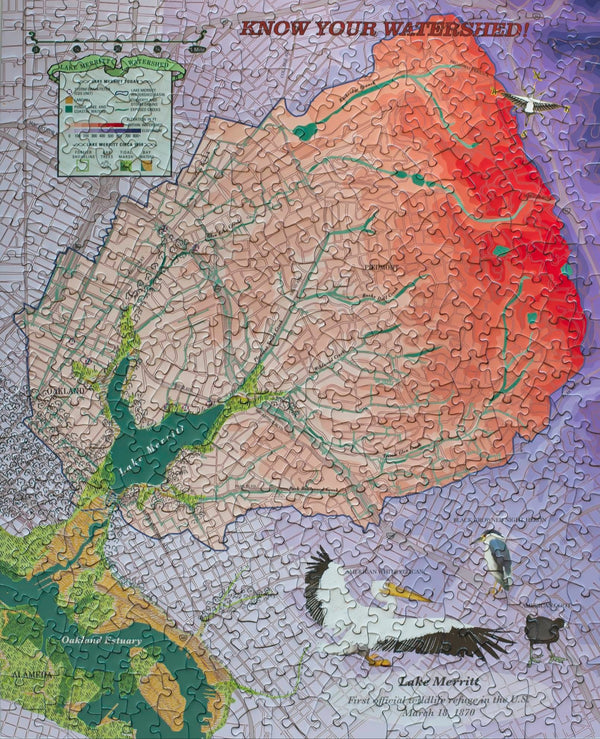 Completed Lake Merritt Watershed 500-piece jigsaw puzzle showing the illustrated map of Oakland's watershed