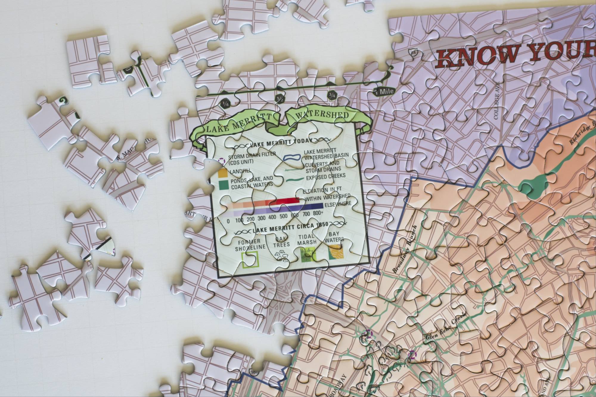 Detail view of the illustrated Lake Merritt Watershed puzzle artwork