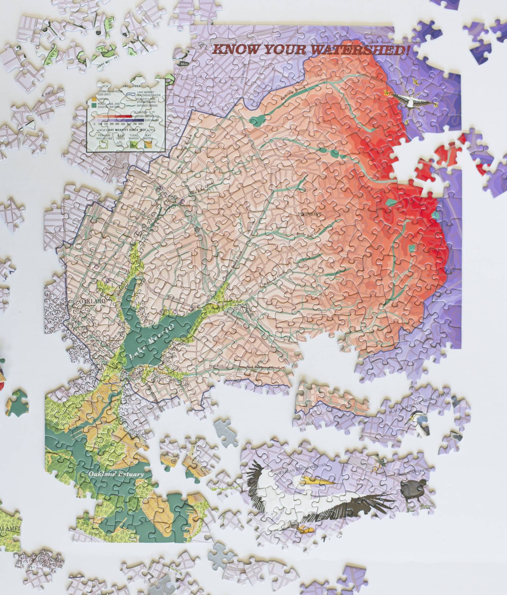 Lake Merritt Watershed Jigsaw Puzzle, 500 Pieces, Oakland Map