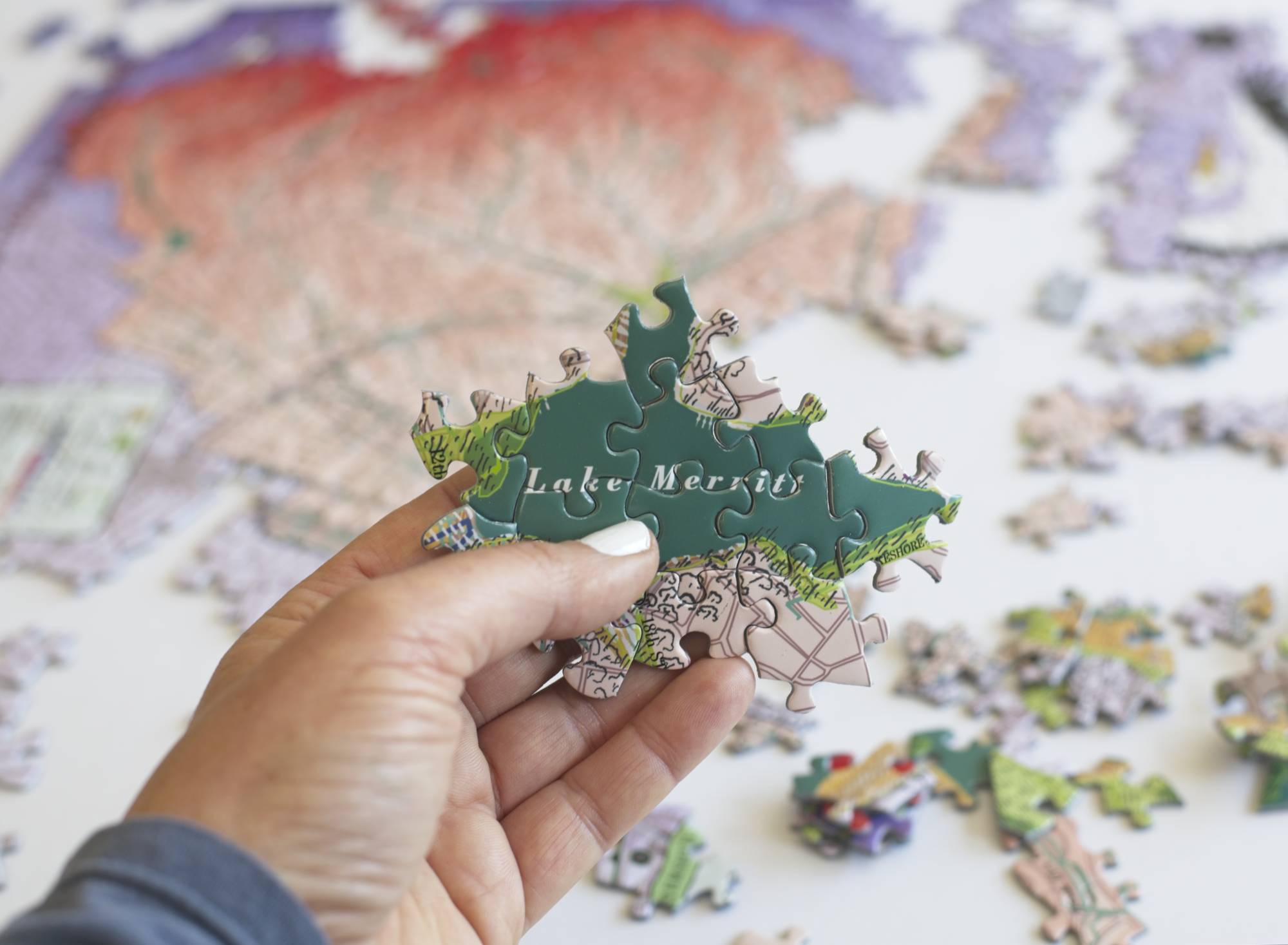 Close-up of Lake Merritt Watershed puzzle pieces with matte finish