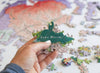 Close-up of Lake Merritt Watershed puzzle pieces with matte finish
