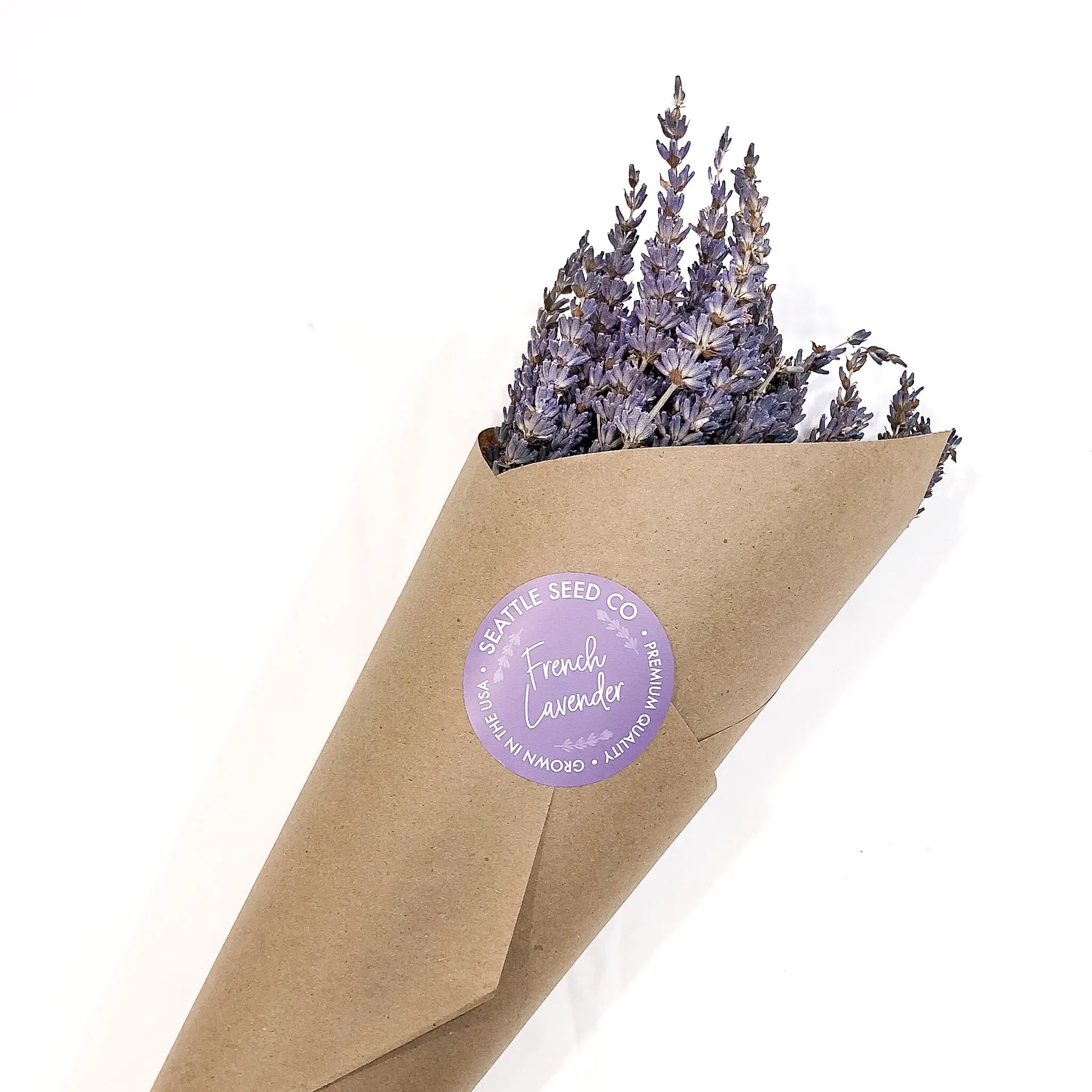 Close-up of fragrant dried French lavender stems showing full, lush purple flower heads from a Pacific Northwest harvest