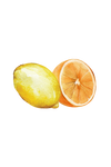 Lemon and orange essential oils used in Rustic Strength Citrus Bliss hand soap — plant-derived and sustainably sourced