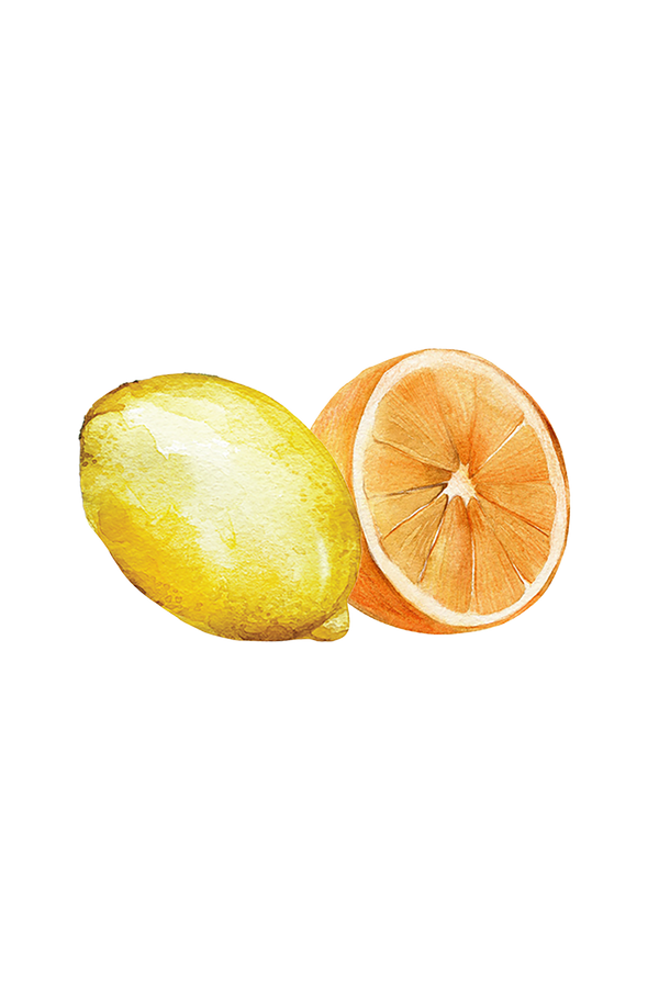 Lemon and orange essential oils used in Rustic Strength Citrus Bliss hand soap — plant-derived and sustainably sourced