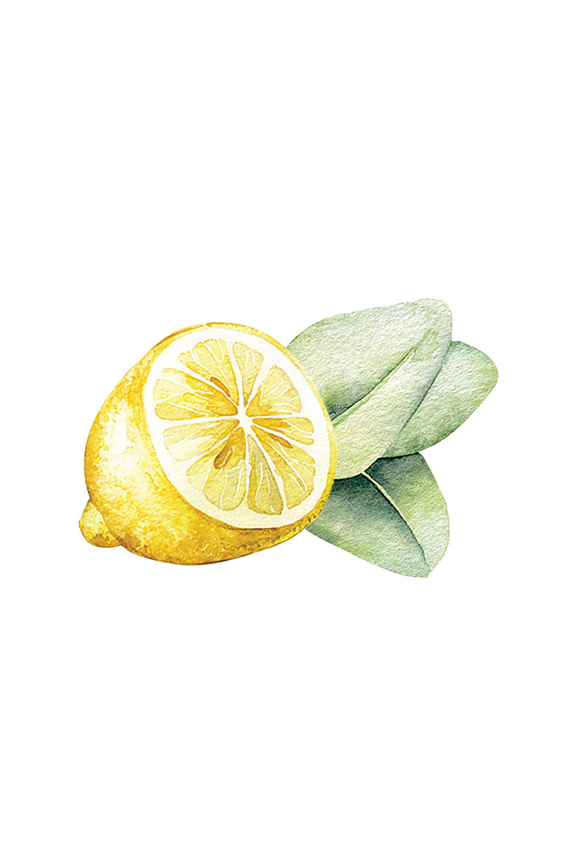 Close-up of Rustic Strength lemon eucalyptus dish soap label showing plant-based ingredients