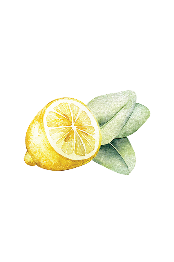 Close-up of Rustic Strength lemon eucalyptus dish soap label showing plant-based ingredients