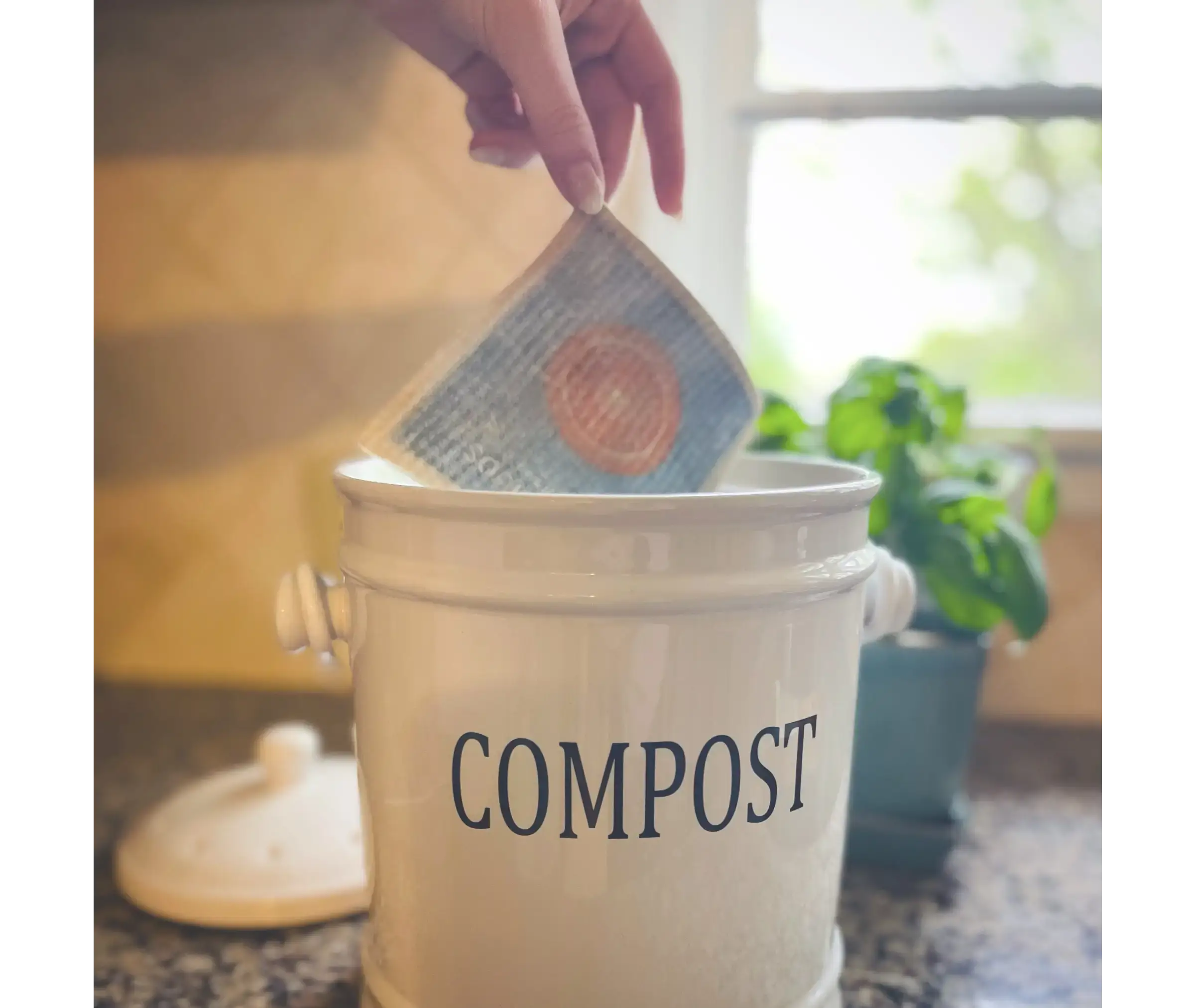 Less Nuts More Wine Squirrel Cards—Greetings turn into cleaning cloths