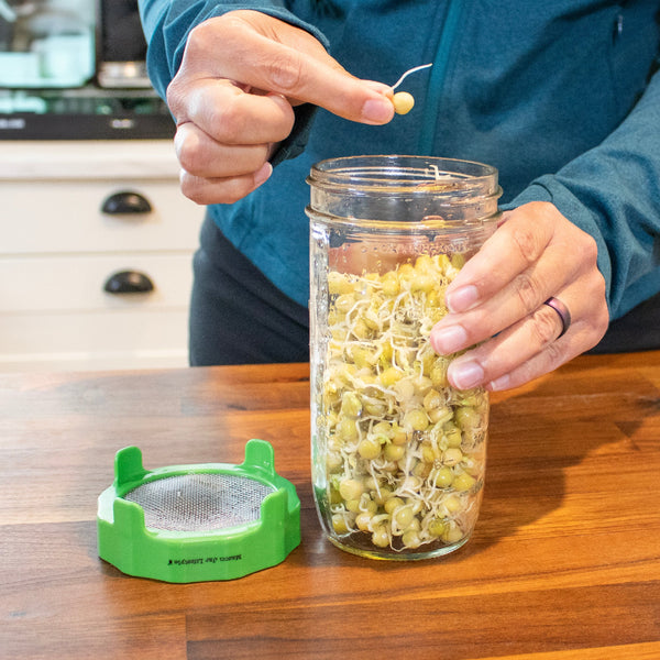 Person holding a jar of sprouts with a green sprout growth device on a wooden surface.