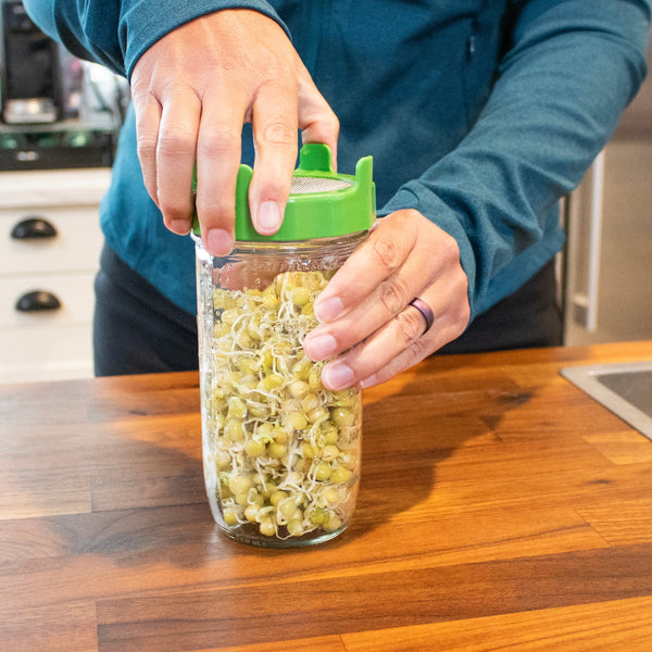 Person holding a jar of sprouts on a kitchen counter
