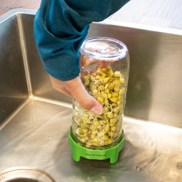Hand holding a jar of green beans on a metallic surface