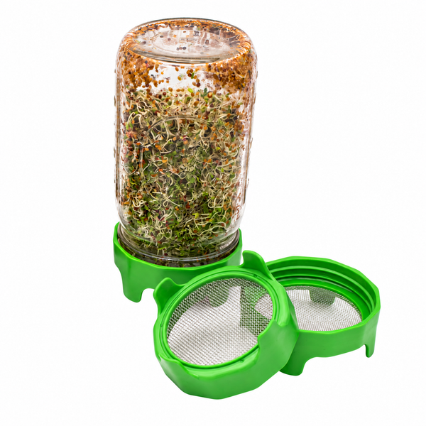 Rust-Proof Sprouting Lid with Built-In Stand for Wide Mouth Mason Jars