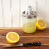 Mason jar with lemon juice and lemon squeezer on a wooden surface
