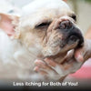 Close-up of a dog's face with a blurred background and text 'Less itching for Both of You!'.