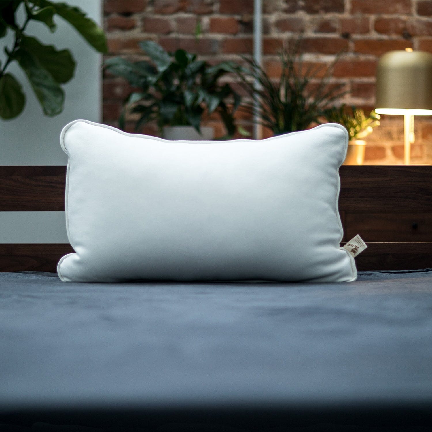 White pillow on a bed with a blurred indoor background