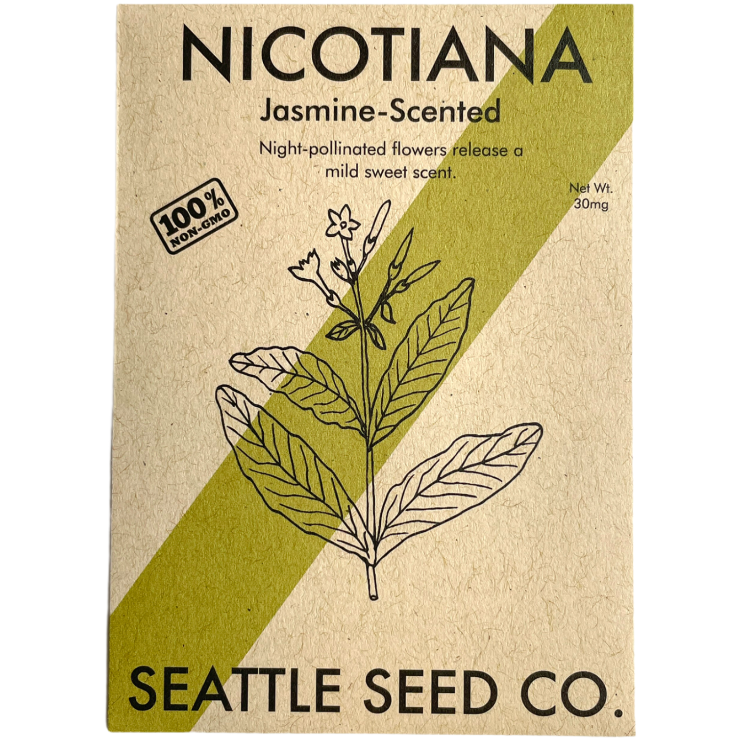 Jasmine Scented Nicotiana alata seed packet from Seattle Seed Company with creamy white night-fragrant flowers