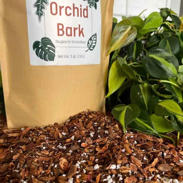🌿 Douglas Fir Orchid Bark – Premium Growing Medium for Orchids & Epiphytic Plants
